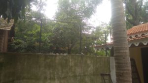 IMG-20190729-WA0014
